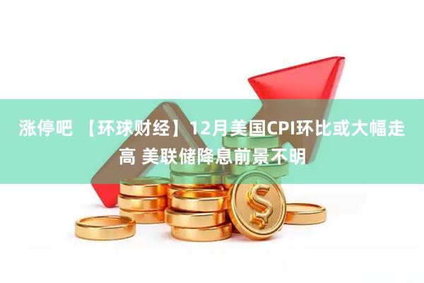涨停吧 【环球财经】12月美国CPI环比或大幅走高 美联储降息前景不明