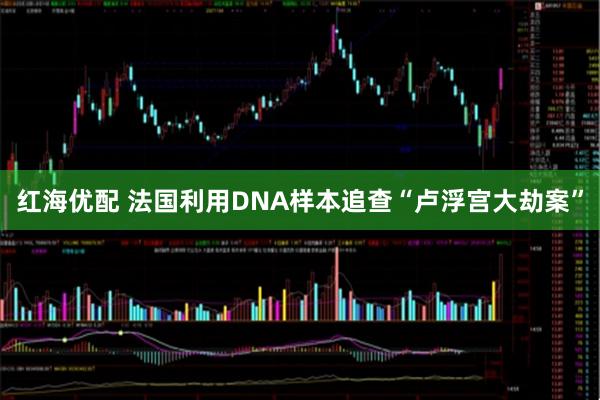 红海优配 法国利用DNA样本追查“卢浮宫大劫案”